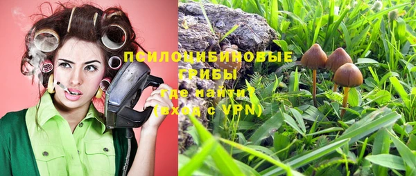 бошки Верея