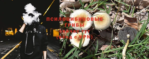 ешки Верхний Тагил