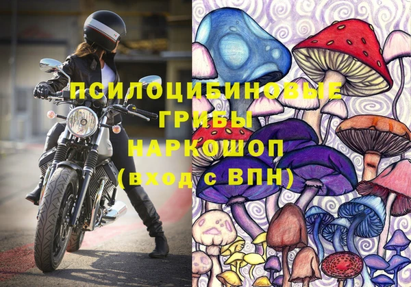 соль ск Верхнеуральск