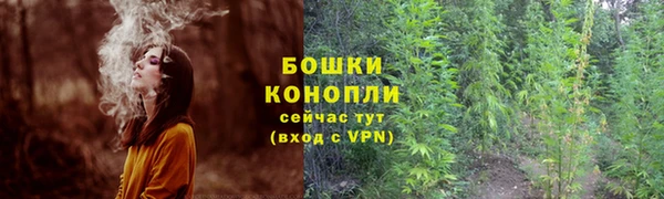 бошки Верея