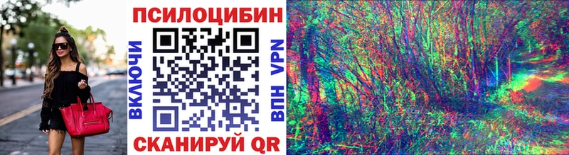 Купить где  Котельниково  Псилоцибиновые грибы MAGIC MUSHROOMS 