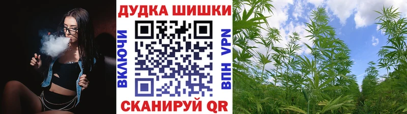 Купить закладки  Котельниково  Марихуана индика 
